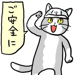 トネットキャット